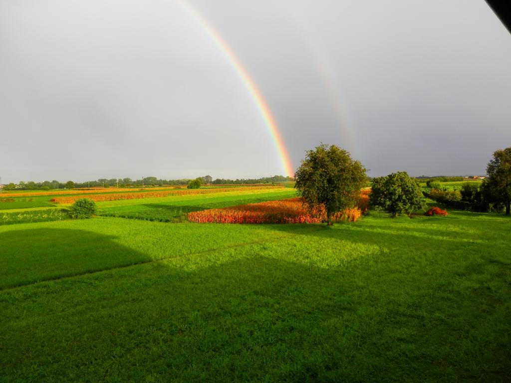 Agriturismo Cjargnei Povoletto Zewnętrze zdjęcie